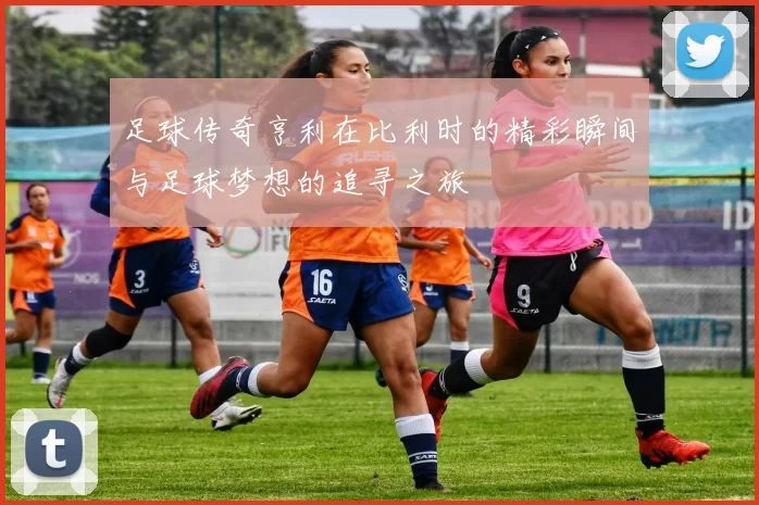足球传奇亨利在比利时的精彩瞬间与足球梦想的追寻之旅