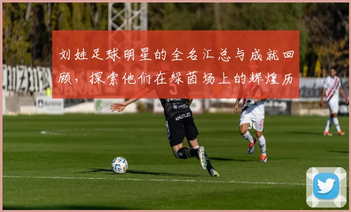 刘姓足球明星的全名汇总与成就回顾，探索他们在绿茵场上的辉煌历程