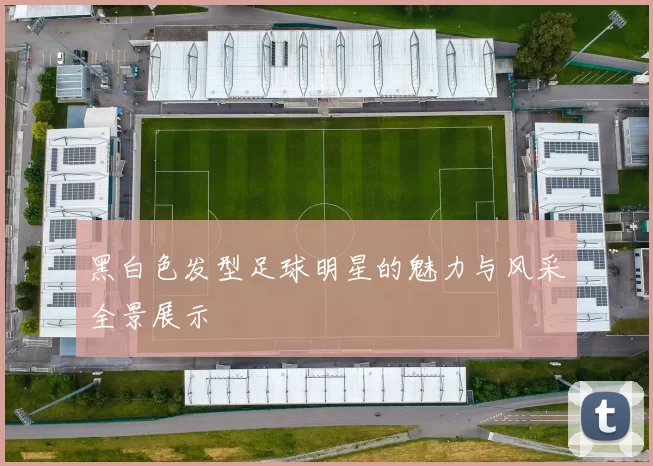黑白色发型足球明星的魅力与风采全景展示