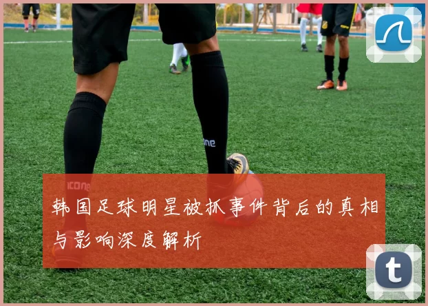 韩国足球明星被抓事件背后的真相与影响深度解析