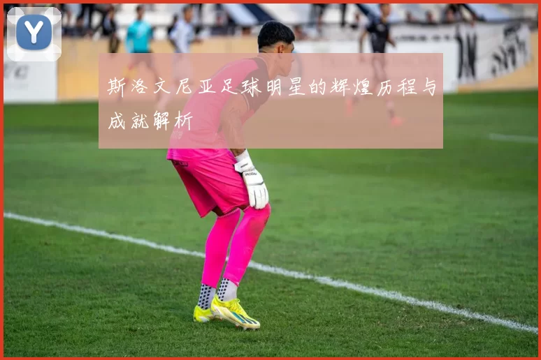 斯洛文尼亚足球明星的辉煌历程与成就解析