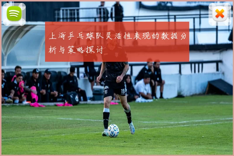 上海乒乓球队灵活性表现的数据分析与策略探讨