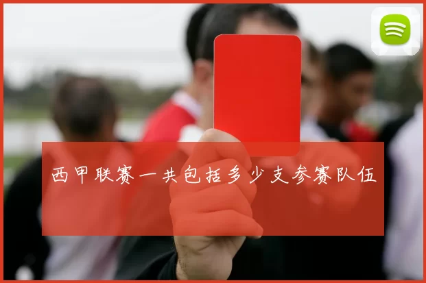西甲联赛一共包括多少支参赛队伍
