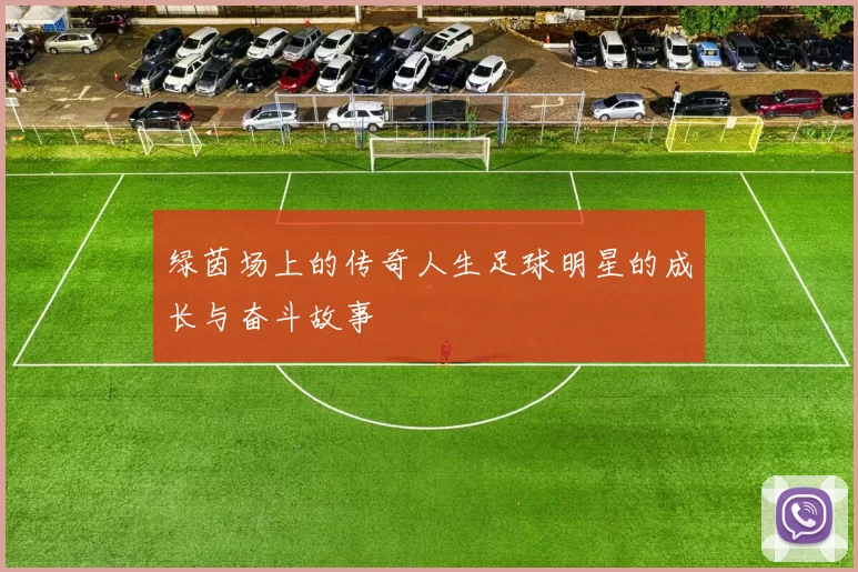 绿茵场上的传奇人生足球明星的成长与奋斗故事