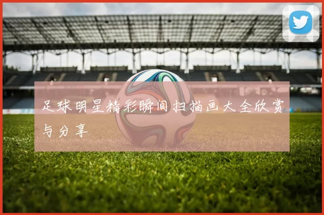 足球明星精彩瞬间扫描画大全欣赏与分享